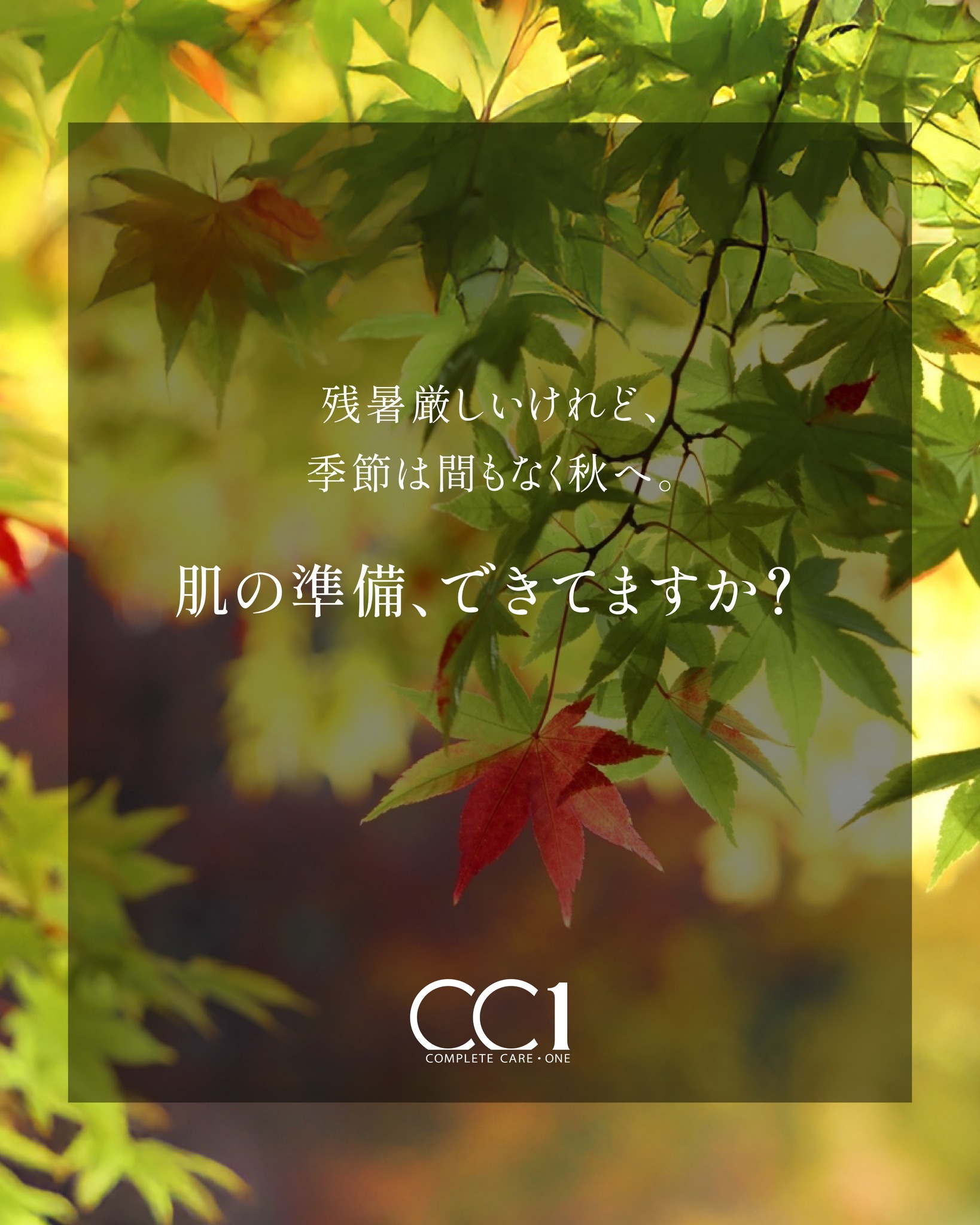 Instagram投稿画像