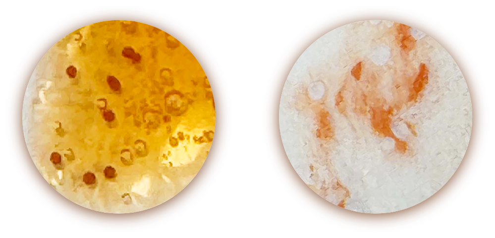 溶けるマイクロカプセルの様子